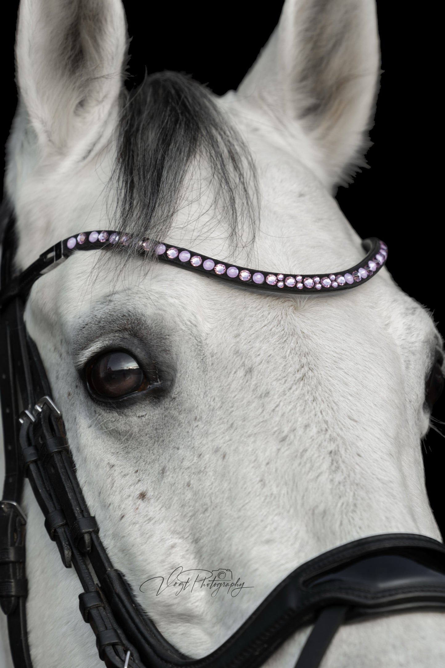 Stirnriemen Lillyfeee mit "Klickverschluss" in den Farben Crystal Lilac, Light Amethyst