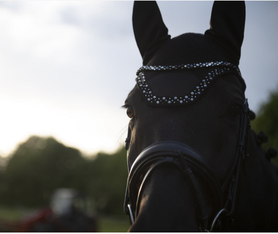 ESKADRON BASICS FLY HOOD SPORT mit Kristallsteinen