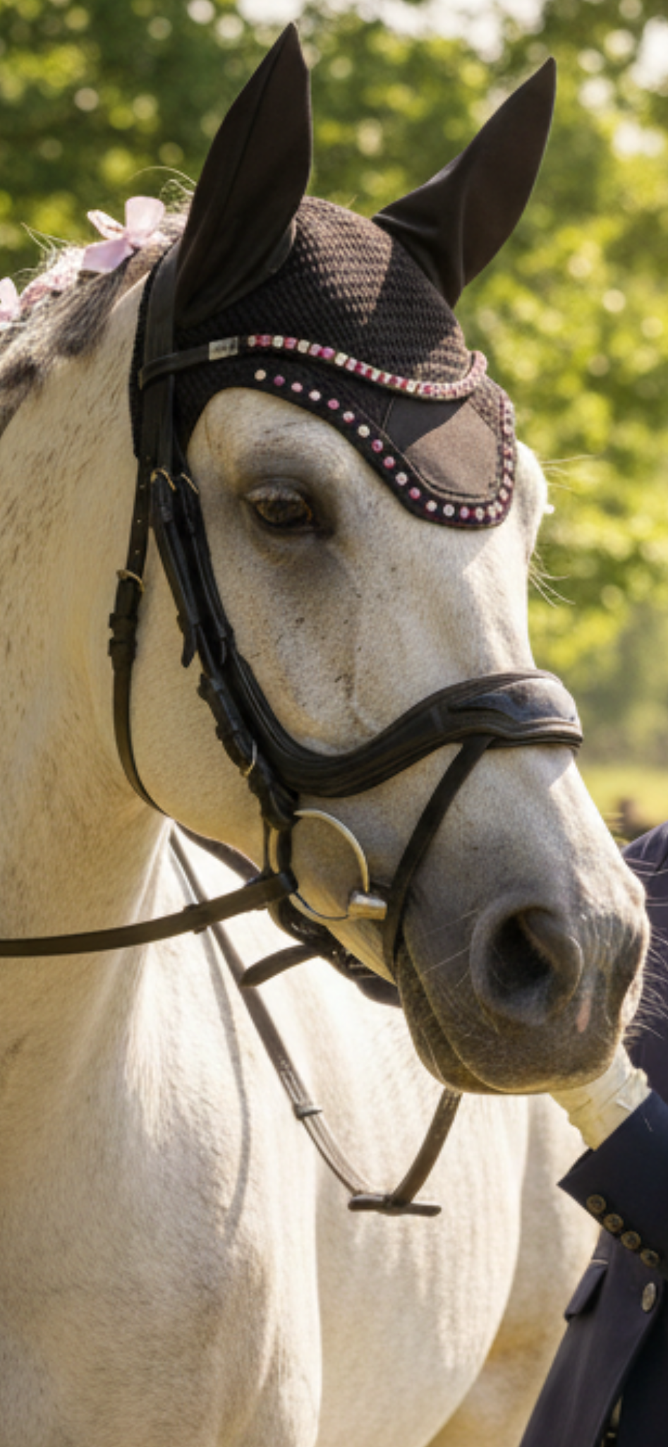 Stirnriemen „Pretty in Pink“ mit Fliegenhaube –  Schwarz, Größe Full