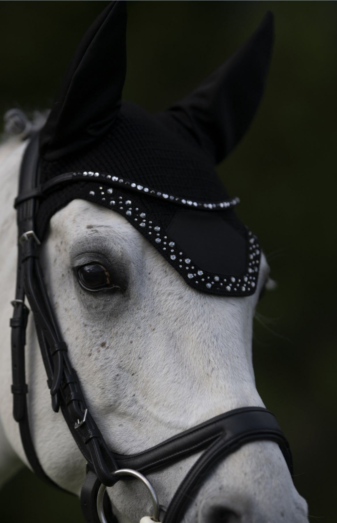ESKADRON BASICS FLY HOOD SPORT mit Kristallsteinen